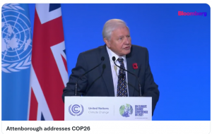 Sir David Attenborough at COP26